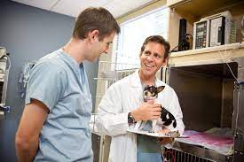 Maybe you would like to learn more about one of these? Pet Emergency Specialty Center South County 68 Photos 192 Reviews Veterinarians 885 Canarios Ct Chula Vista Ca Phone Number