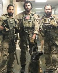 3 512 Likes 43 Comments Justin Melnick Justinmelnickofficial On Instagram Get Caught Up On Sealteamcbs It Military Dogs Military Working Dogs War Dogs
