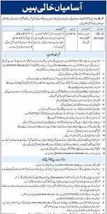 Forest Department Mohmand Jobs 2026