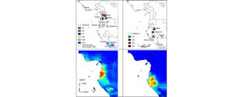 Image result for Afrostyrax kamerunensis