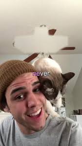 Stephen Sanchez and His Cat