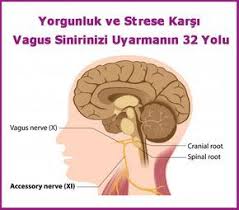 Saglik Panosundaki Pin