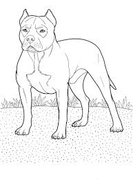 Dog Coloring Pages 14 Teenagers Coloring Pages Dog Coloring Page Horse Coloring Pages Animal Coloring Pages