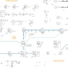 Metabolic Pathways