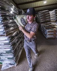 🚨STONEWALL PREDATOR RESULTS ARE IN🚨 1ST PLACE MAIN POT + MOST FOX: