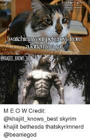 Watching Your Pet Grow From Akittento A Catt M E O W Credit Skyrim Khajiit Bethesda Thatskyrimnerd Meme On Me Me