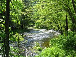 The 10 Most Charming Towns In New York S Catskills