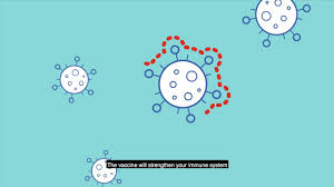 Scores of countries have since imposed minimum age restrictions for those receiving the vaccine, including france, the netherlands and germany. Covid 19 Vaccines Overview Health And Wellbeing Queensland Government