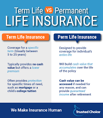 64 Exhaustive Life Insurance Types Comparison Chart