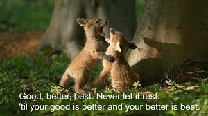 Never let it rest, 'til your good is better and your better is best! Good Better Best Never Let It Rest Motivational Quotes Boom Sumo