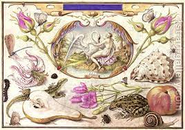 Joris hoefnagel's work has been offered at. Leda And The Swan Surrounded By Flora And Fauna Including A Stargazer Lily Lilium Stargazer A Common Li Botanical Illustration History Drawings Swans Art