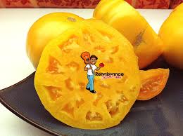 Image result for Yellow 1983 Amana