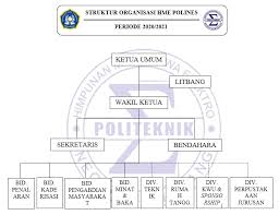 Secara umum, organisasi kampus dapat dikategorikan ke dalam 2 jenis, yaitu organisasi mahasiswa internal kampus dan eksternal kampus. Himpunan Mahasiswa Elektro