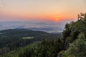 We used it to sequence our target gene implicated in a mendelian disorder. 5 Reasons To Study Environmental Science In Malaysia 2020 Excel Education Study Abroad Overseas Education Consultant