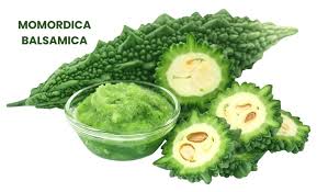 Image result for Momordica repens