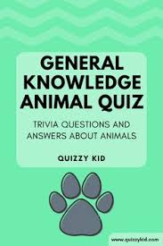 Coming in as one of the least popular sports in the world is golf with 450 million fans mostly residing in western europe, north america, and east asia. 7 Games Party Trivia Ideas In 2021 Trivia Questions And Answers Quiz Questions And Answers Trivia