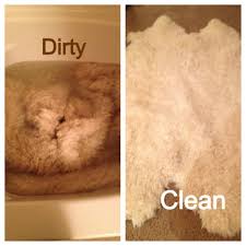 First combine water (about 500 milliliters) then use it with a wool wash product (a cap's worth). Tips And Tricks How To Clean Sheepskin Rugs At Home Wash In Tub With Room Temp Water Using Baby Shampoo Hang Outside T Sheepskin Rug Cleaning Laundry Hacks