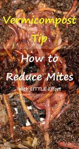 Vermicompost Tip How To Reduce Mites A Life In The Wild Vermicomposting Vermicomposting Worm Farm Vermiculture