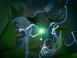 Ob verkaufsformulare für pkw's, werkstattformulare, werkstattaufträge, rechnungsformulare, arbeitskarten, probefahrtverträge, fahrtenbücher, prüfbücher: Helmholtz Zentrum Berlin Hzb Home