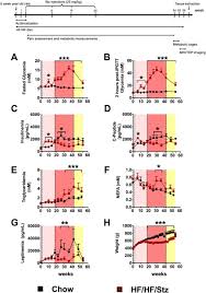 A software developer who loves to convert thoughts into code. Combination Of High Fat High Fructose Diet And Low Dose Streptozotocin To Model Long Term Type 2 Diabetes Complications Scientific Reports