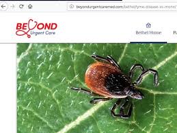 Risks We Face Today Save The Wildlife