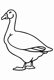 Dogs love to chew on bones, run and fetch balls, and find more time to play! Geese Coloring Pages Dibujo Para Imprimir Easy Goose Coloring Pages Dibujo Para Imprimir
