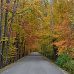 Tawawa Park in Sidney, Ohio is amazing right now! If you ...