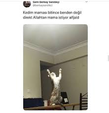 Mizah Komik Ilginc Mood Yeni Begeni Resim Replik Populer Kesfet Ucretsiz Ask Bilgi Caps 2020 Komik Komik Seyler Mizah
