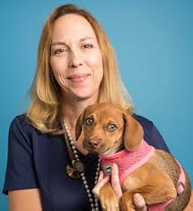 All Veterinary Services