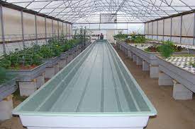 Aquaponics Grow Beds And Filter Tanks Ajay Fibreglass