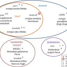 Image result for Klainedoxa