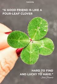 We did not find results for: Best Friend Four Leaf Clover Quotes Art Gallery