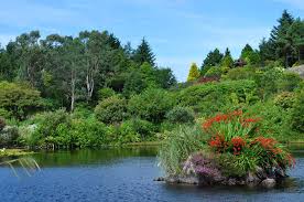 Taken At Glenwhan Dunragit Wigtownshire Garden Visits Outdoor Visiting