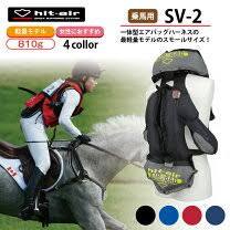 search.rakuten.co.jp からの転倒用えあばっっぐ