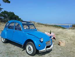 Image result for Bleu Forclaz 2011 Citroen
