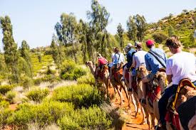 What about a camel tour? A Cultural Trip To Uluru Kata Tjuta National Park In Australia