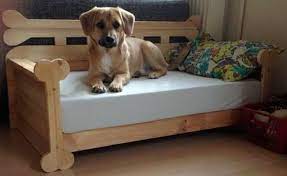 Um ganz sicher gehen zu können, dass das bett groß genug ist, sollten sie messen, wieviel platz ihr hund benötigt, wenn er ausgestreckt liegt! Hundecouch Hunde Couch Hundebett Selber Bauen Hund Sofa