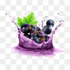 Frutas Png Images Vetores E Arquivos Psd Download Gratis Em Pngtree Acai Fotos Sorveteria Decoracao Embalagens De Suco Frozen food cartoon png is about is about açaí na tigela, açaí palm, ice cream, smoothie, restaurant.