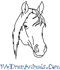 2) from the middle of the rectangle, draw one vertical and one horizontal line equally dividing the mark off the width and height of the picture. How To Draw A Mustang Horse Face