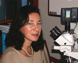 Directory Entries Archive