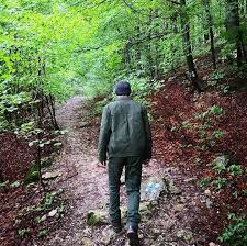 234/2019 privind statutul personalului silvic, cât și clauzele cuprinse în contractul colectiv de muncă (ccm) al regiei. FederaÈia Sindicatelor Din SilviculturÄ Silva Trage Un Nou Semnal De AlarmÄ In Doar Cateva Luni 6 PÄdurari AgresaÈi De HoÈii De Lemne AÈa Nu Se Mai Poate Ecopolitic