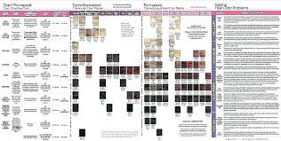 Shades Color Chart Gels Hair Shade Redken Pdf Fusion