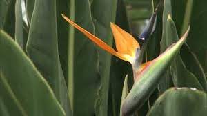 Pin On Nature