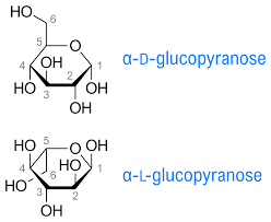 Instead of using the ethane shown in figure a and b, we will start with a methane. Haworth Projection Wikipedia