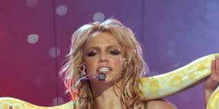 Image result for britney spears python