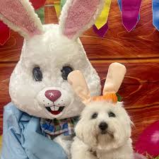 TOP 10 BEST Easter Egg Hunt near Woodland Hills, Los Angeles, CA