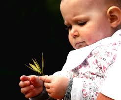 Heaven in a Wild Flower: "To see a World in a Grain of Sand- And Heaven in  a Wild Flower, ** **Hold Infinity in the palm of your hand