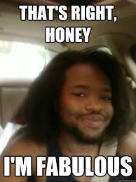 That S Right Honey I M Fabulous Terrys Meme Quickmeme