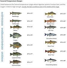 Why Water Temperature Plays A Role In Your Fishing Success Bass Pro Shops