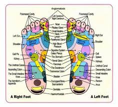 Acupuncture Bottom Feet Reflexology Foot Detox Foot
